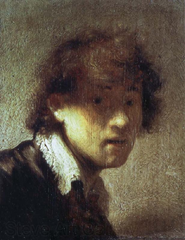 REMBRANDT Harmenszoon van Rijn Self-Portrait as a Young Man